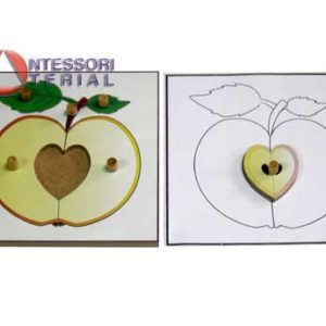 Строение яблока (пазлы)  и его контур (ламинированный)