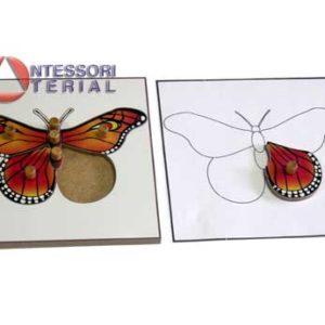 Строение бабочки (пазлы)  и её контур (ламинированный)