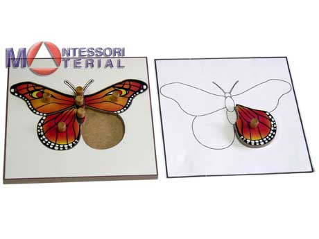 Строение бабочки (пазлы)  и её контур (ламинированный)